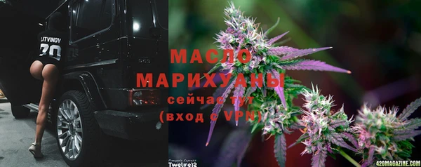 твердый Верхний Тагил