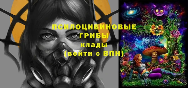 твердый Верхний Тагил