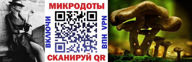Галлюциногенные грибы Psilocybine cubensis  наркота  Ряжск 